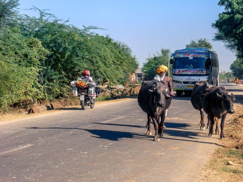 india in moto bufali strada
