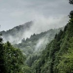 transfagarasan-romania-nebbia