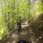 tendata-di-motociclismo-all-travellers-bosco
